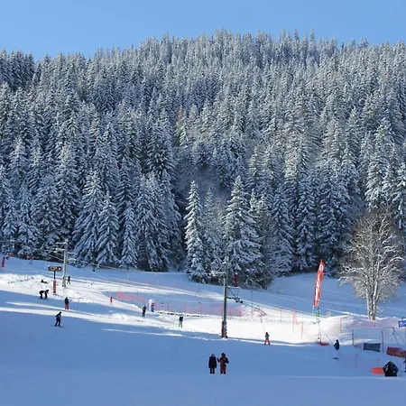 Grand Bois B415 Cles Blanches شقة